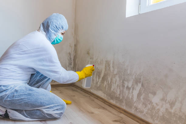 Licensed Commercial Mold Remediation service in Potomac, MD - Car Mold Remediation