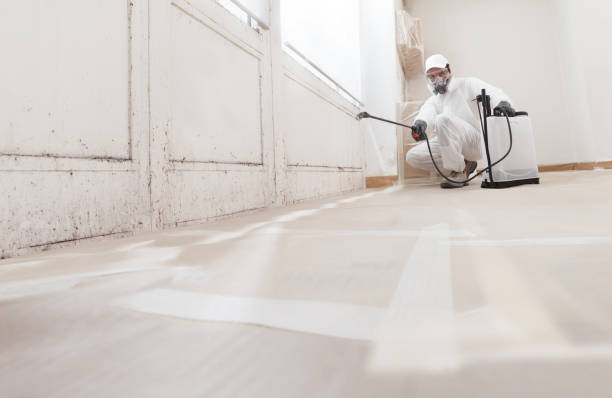 24/7 Emergency Commercial Mold Remediation experts in Potomac, MD