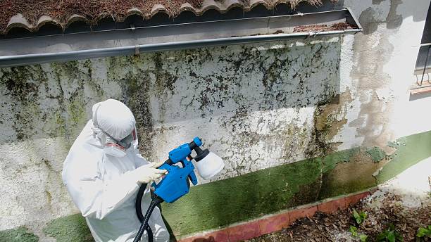 Top rated local Commercial Mold Remediation specialists in Potomac, MD